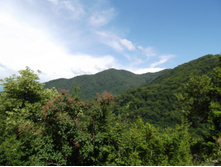DSCF1587.JPG