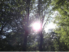 DSCF1606.JPG