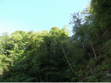 DSCF1646.JPG