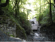 DSCF1669.JPG