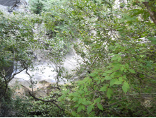 DSCF1688.JPG