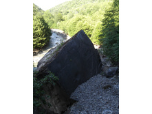 DSCF1695.JPG