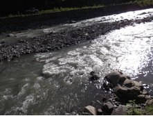 DSCF1711.JPG