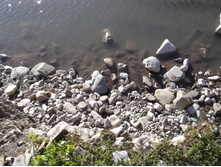 DSCF1733.JPG