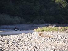DSCF1737.JPG