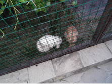 DSCF1800.JPG