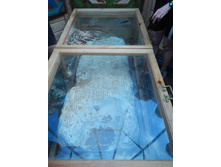 DSCN0338.jpg