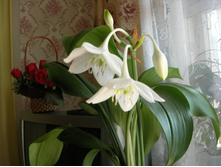 DSCN2709.JPG