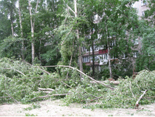 Picture 001.jpg