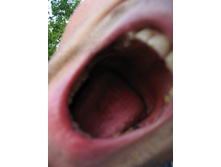 18.07.2007 11:56:27