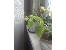 18.06.2013 22:30:42