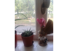 2013-06-19 12.54.50.jpg
