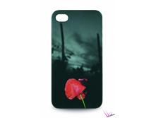 Red Poppies.jpg