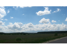 IMG_0090.JPG