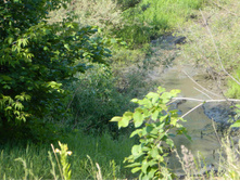 DSCN2202.JPG