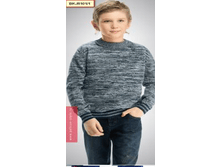 493 ���.png