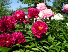 S73R4738.JPG