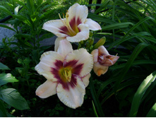 S73R4759.JPG
