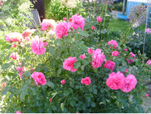 S73R4765.JPG