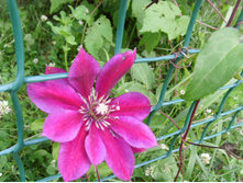 S73R4859.JPG