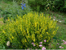 S73R4872.JPG