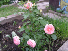 S73R4910.JPG