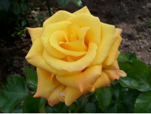 S73R4925.JPG