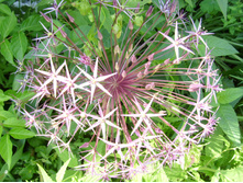S73R5034.JPG