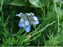 S73R5136.JPG