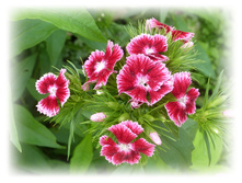 P1050502.JPG