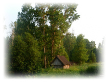 P1050754.JPG