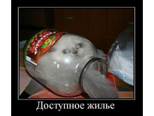 1297655921_demotivatory_41.jpg