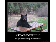 chto-smotrish-tachi-balalayku-i-nalivay.jpg