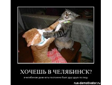 hoshe-v-chelyabinsk.jpg