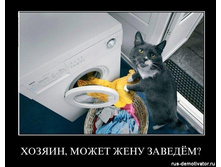 hozyain-mozht-zhenu-zavedem.jpg