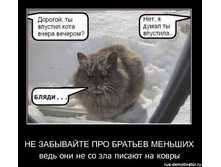 nezabivayte-pro-bratyev-mensheh.jpg