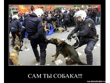 sam-ti-sobaka.jpg