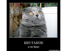 sho-takoe-ya-ne-bral.jpg