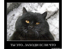ti-eto-zahodi-esli-chto.jpg