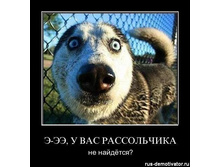 u-vas-rassolchika-ne-naidetsya.jpg
