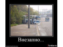 ��������....jpg