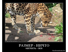 ������ - �����.jpg