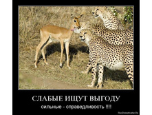 ������� � ������.jpg