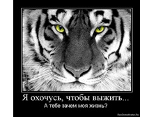 � �������.jpg