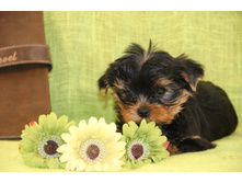IMG_3377.JPG