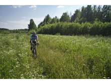 DSCF1154.JPG