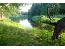 DSCF1162.JPG