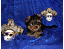 1-IMG_3547.JPG