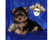1-IMG_3630.JPG