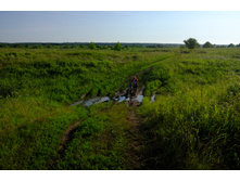 DSCF1209.JPG